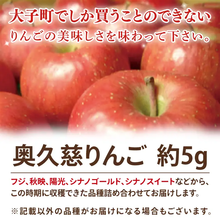 先行予約 奥久慈 りんご 5kg 樹上完熟 奥久慈りんご園 茨城県 大子町 フルーツ 果物 国産 詰め合わせ ふじ 秋映 陽光 シナノゴールド シナノスイート 秋 旬 お取り寄せ 数量限定 【2026年9月中旬頃順次発送開始予定】(AI006)