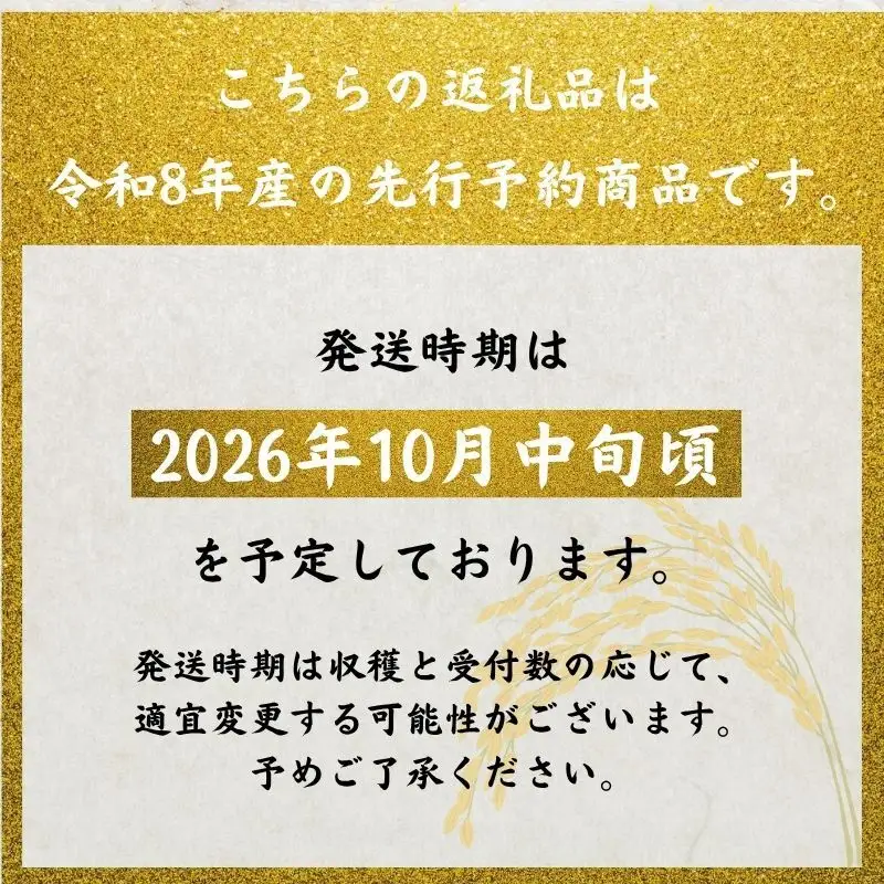 【定期便】 令和8年産 ササニシキ 10kg 2ヶ月連続 精米 お米 米 こめ コメ