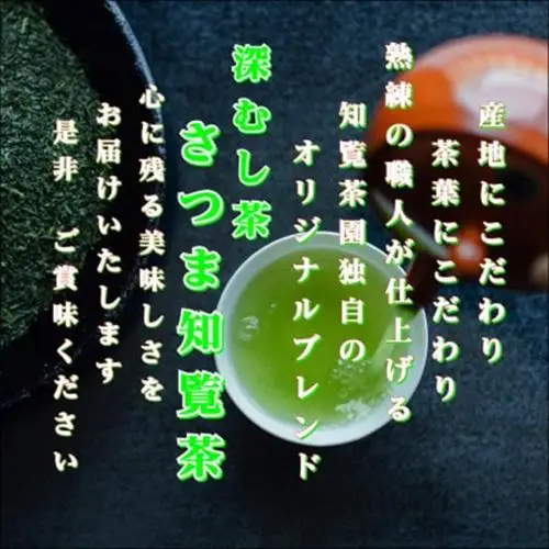 【贈答用】知覧茶園の深むし茶「さつま知覧茶」5本セット 知覧町産【1740604】