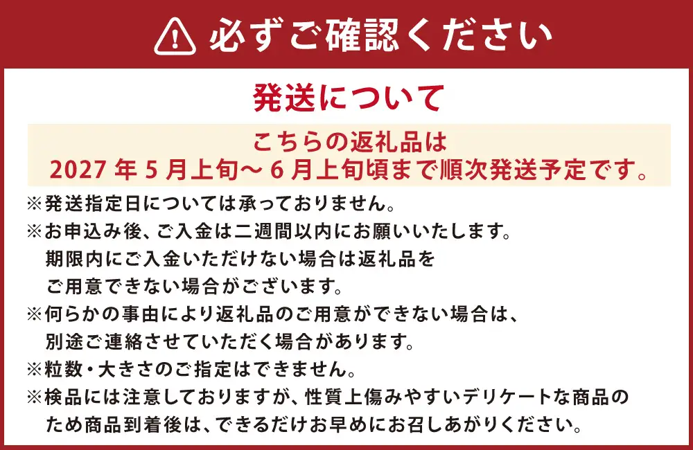 初摘みいちごけんたろう 自然の循環の中で育った、はじまりの一粒 1箱2パック入り いちご 苺 イチゴ フルーツ くだもの デザート 国産 北海道 豊浦町 【2027年5月上旬～6月上旬頃まで発送予定】