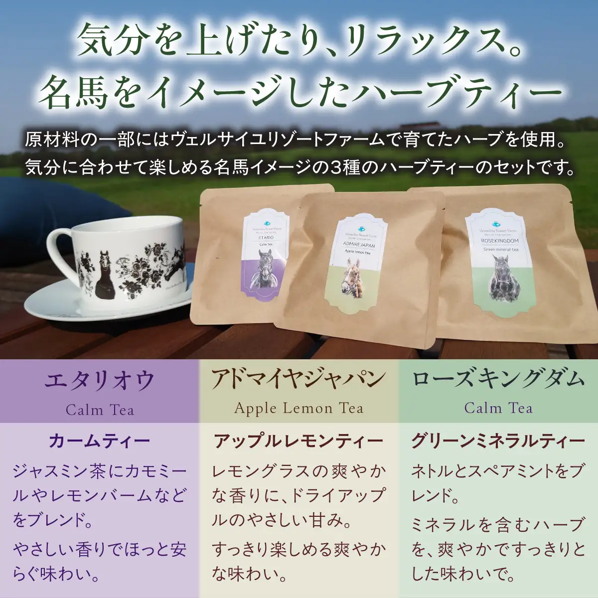 【ヴェルサイユリゾートファーム】ハーブティーセット BRTV485