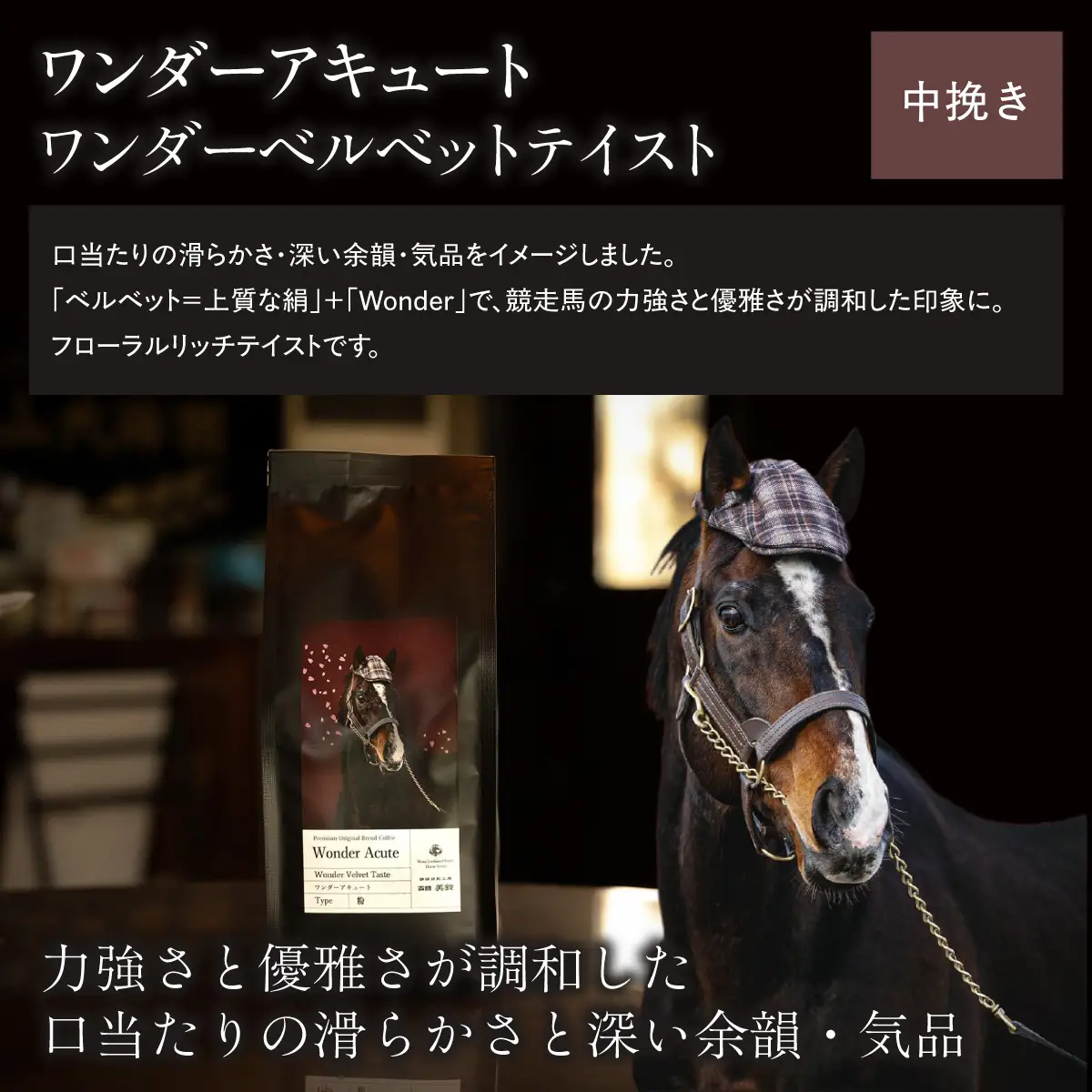 【ワンダーアキュート】「粉」オリジナルコーヒー　函館美鈴コーヒーコラボ BRTV214-1