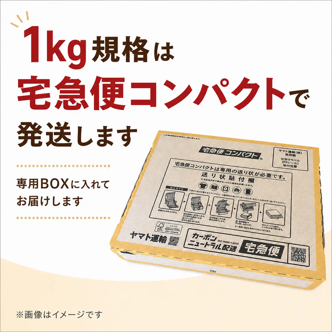 『大家ファーム』の ミニトマト アイコ 1kg 熊本県玉名 | トマト ミニトマト 野菜 やさい アイコ 熊本県 玉名市