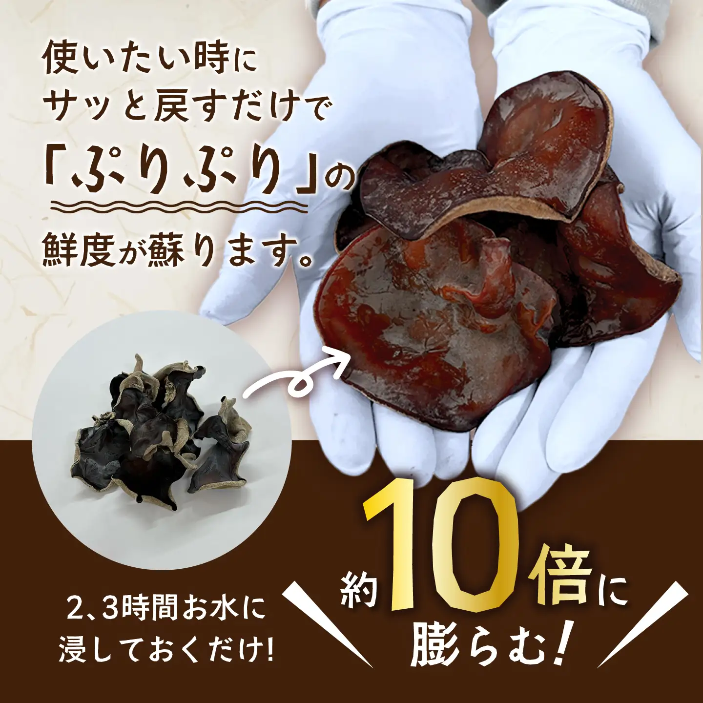 愛きくらげ 乾燥（ホール10g×5袋）/ 国産 乾燥 健康 / 稲沢市 / きくらげファーム稲沢[BMAU003]