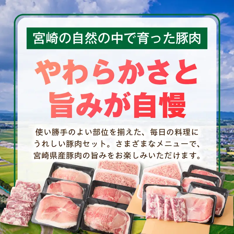 宮崎県産豚4.5kg 満載Aセット