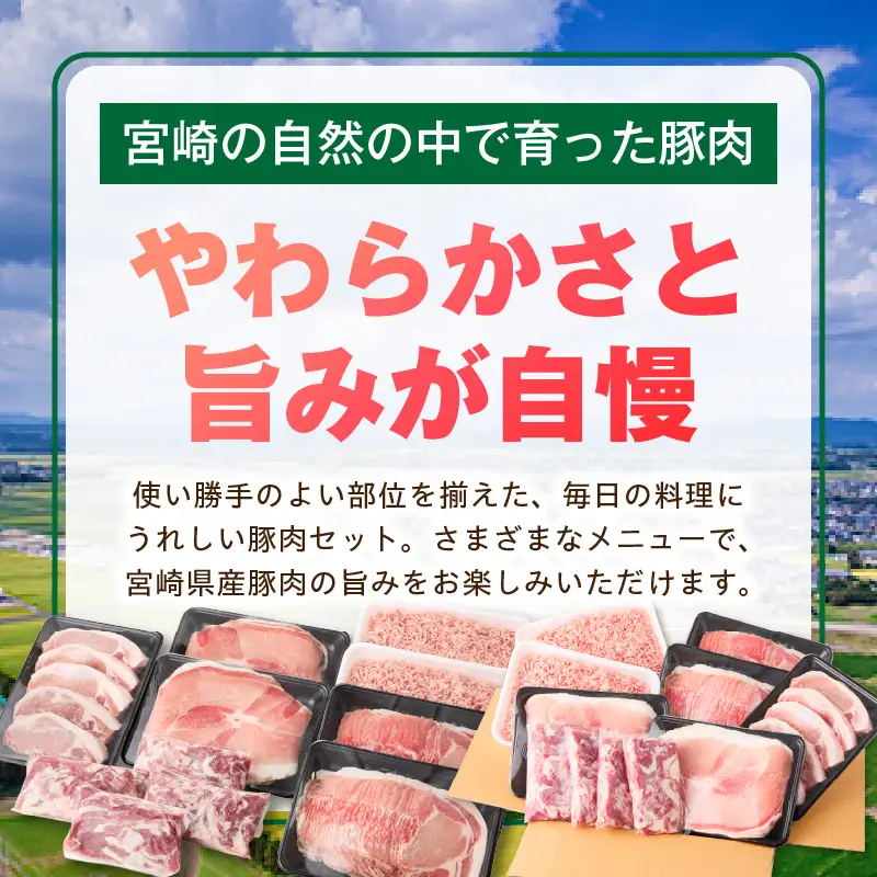 宮崎県産豚4.5kg 満載Bセット