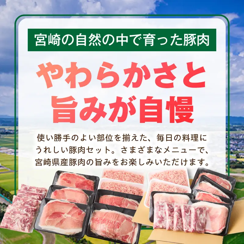宮崎県産豚4.75kg 満載Cセット