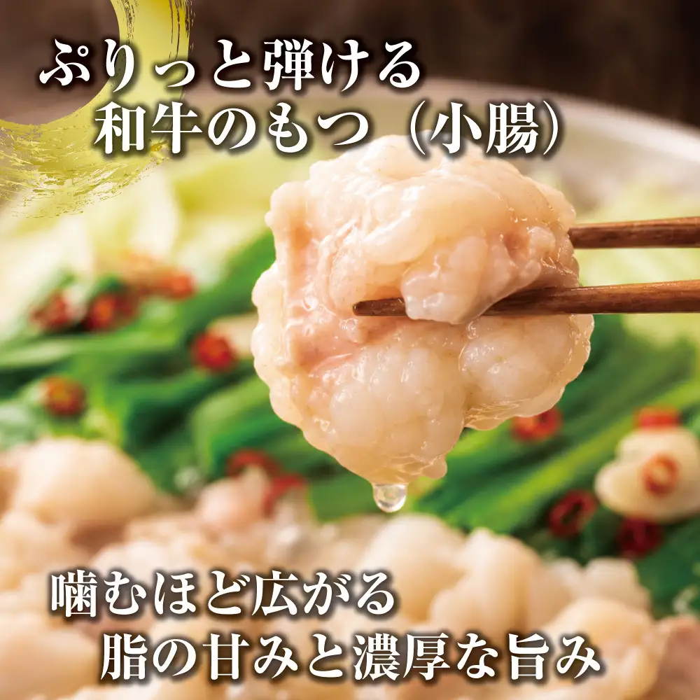 博多もつ鍋　小腸セット・しょうゆ味（3～4人前）