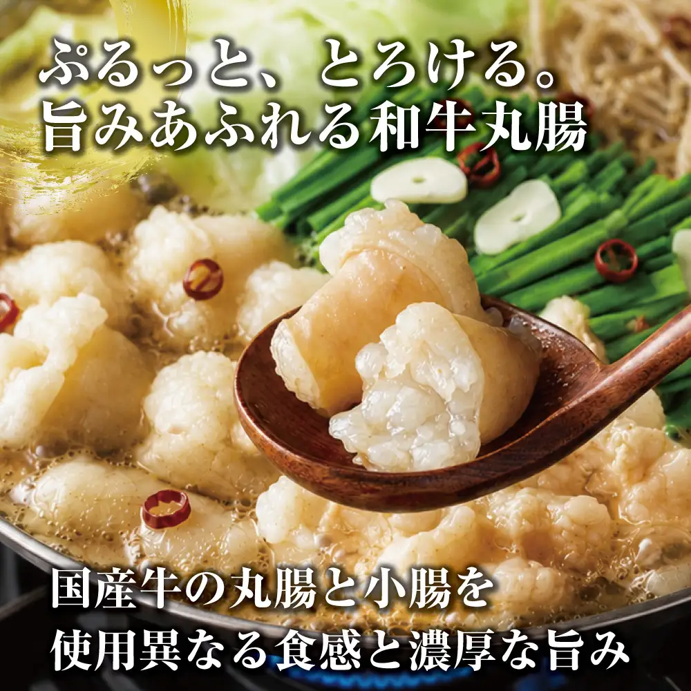 博多もつ鍋　小腸+丸腸セットしょうゆ味（4~5人前）