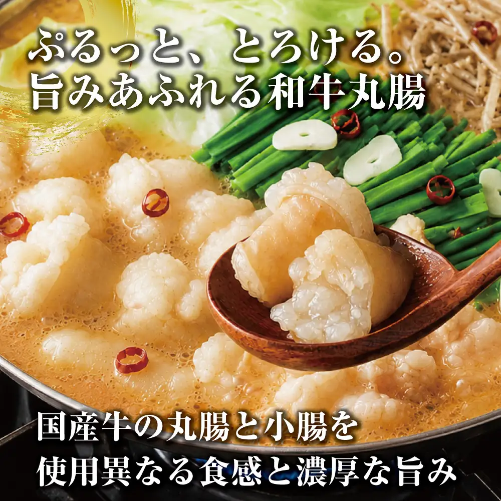 博多もつ鍋　小腸+丸腸セットみそ味（4~5人前）
