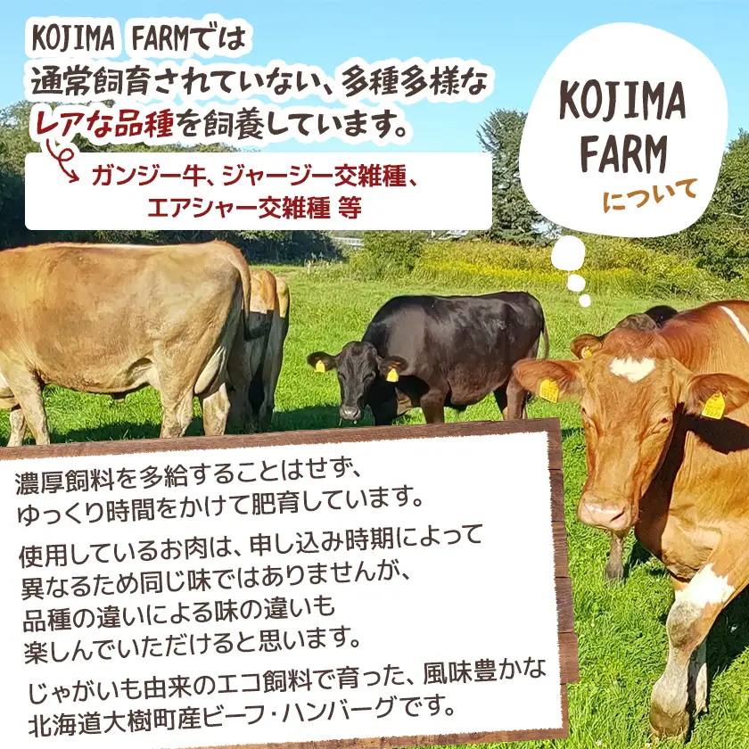 ぽてぱるビーフ・ハンバーグ　150g×5個【750g】【配送不可地域：離島】【1730877】