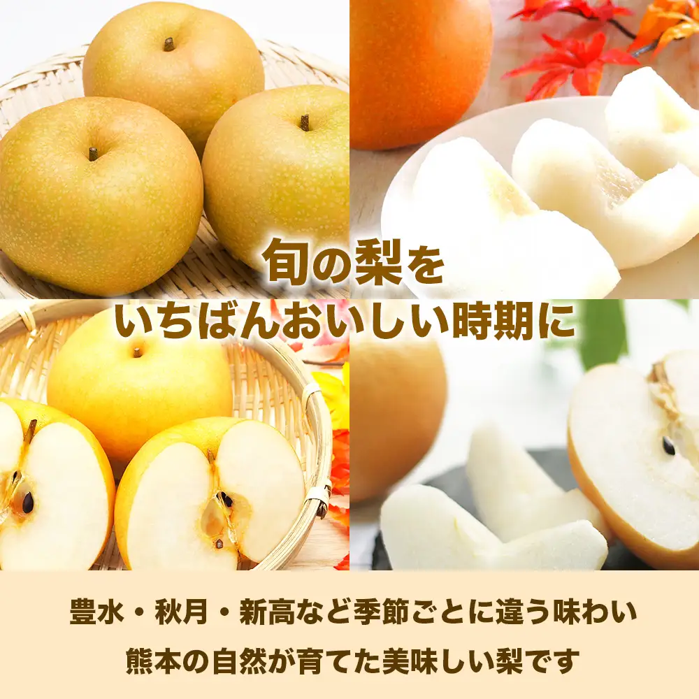 先行予約 旬の梨 品種おまかせ 約3㎏（4～12玉）【2026年8月上旬～2026年10月中旬発送予定】