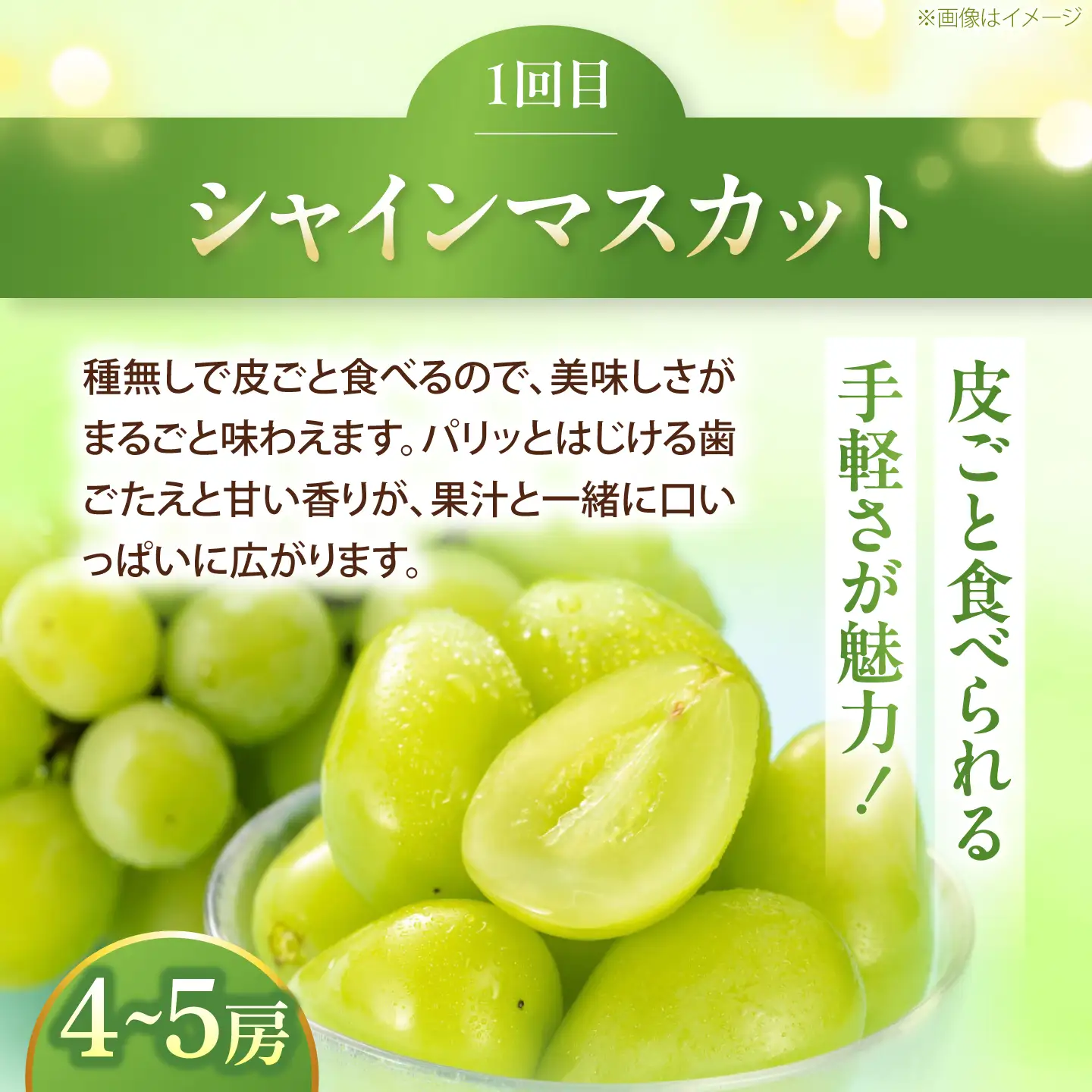 【3回定期便】ぶどう・柿・いちご 旬のフルーツ定期便【北海道・沖縄配送不可】 BKAY034