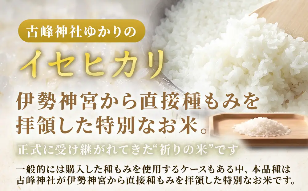 令和7年度産 伊勢ひかり 精米2kg | 白米 栃木 鹿沼市直送