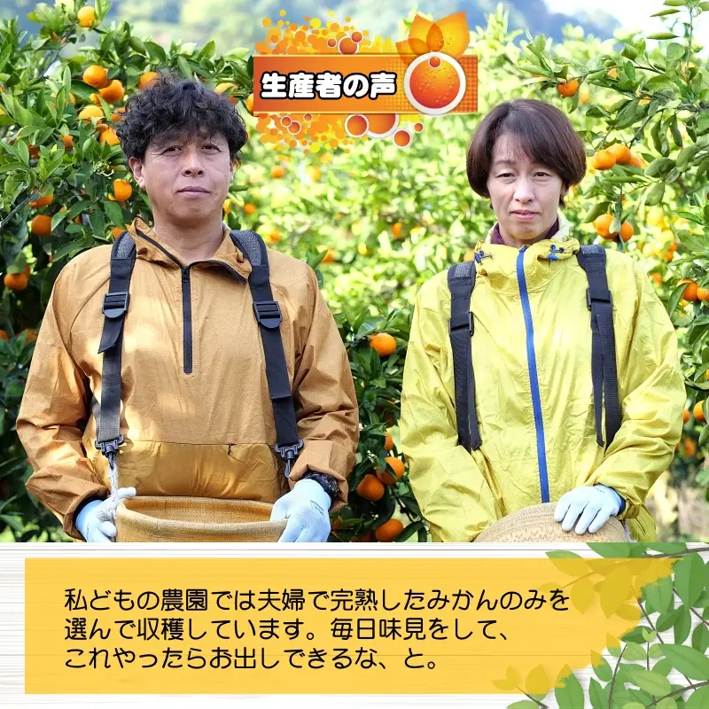 完熟 紅八朔 2kg 久幸園 / はっさく 甘い 和歌山 柑橘 ※2027年4月上旬～5月上旬頃に順次発送予定 【hsk022-beni-2】