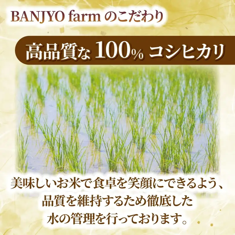 【先行予約】 玄米 10kg こしひかり 令和8年産 【 玄米 新米 】