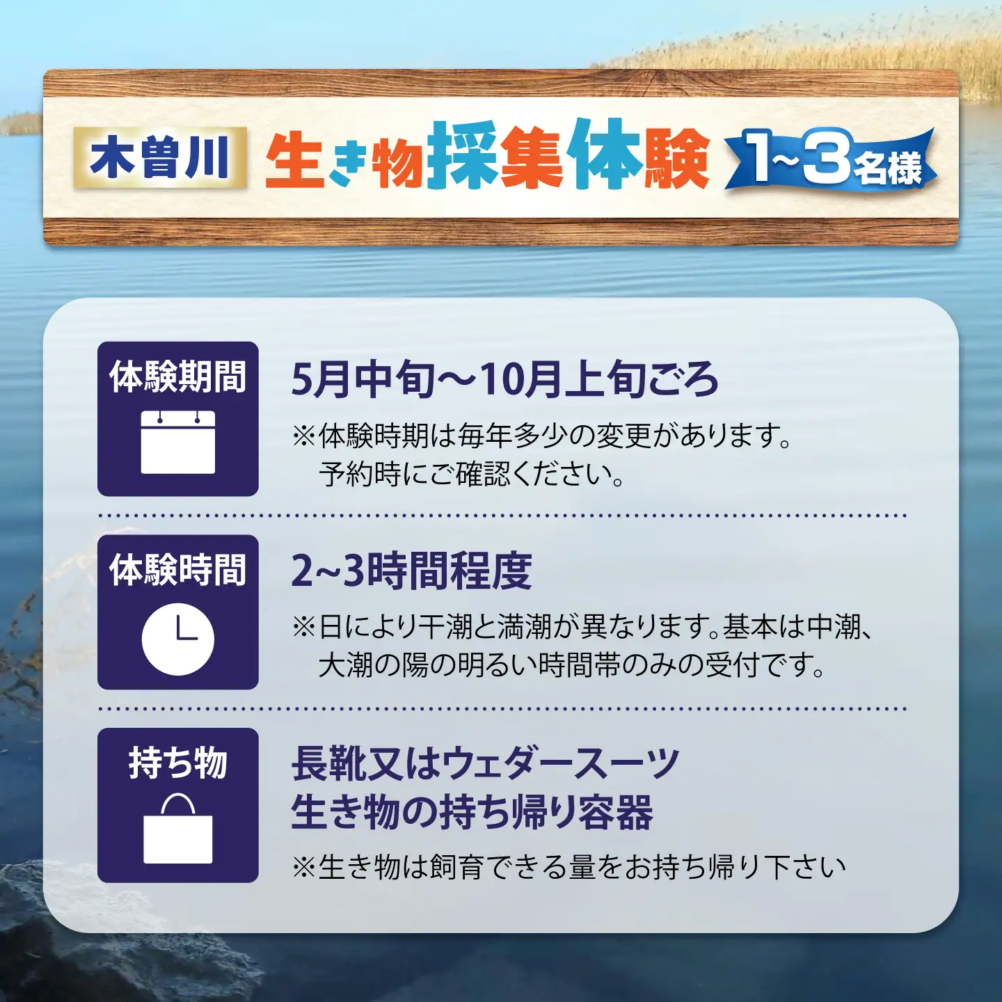 木曽川の生き物採集体験 1～3名まで 体験 チケット 採集 愛西市 / 艶麗[AEDD007]