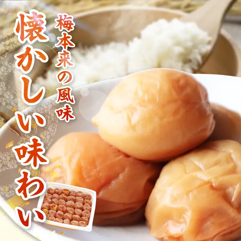 【1323】【紀州南高梅】特選A級 無添加梅干し 白干梅 550g