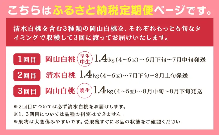清水白桃 岡山白桃 ご家庭用 定期便 3回 白桃 桃