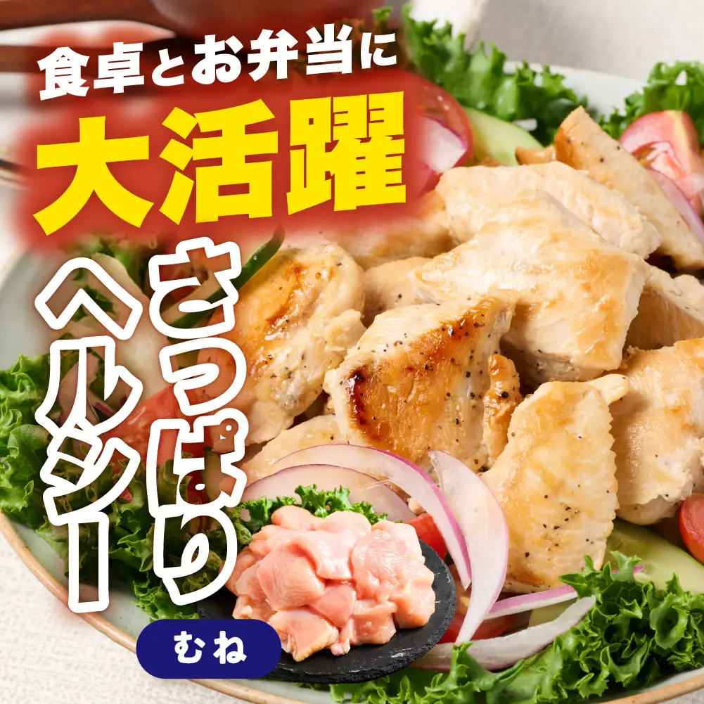 鶏肉 九州産 若鶏 むね 切身 合計3kg （300g×10袋） 鶏肉