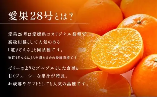 【2026年先行予約】みかん 愛果28号 約3kg M〜3Lサイズ混合 紅まどんな同一品種 【2026年11月下旬より発送予定】 愛媛 人気 柑橘 フルーツ 国産 おすすめ 伊予市｜B552