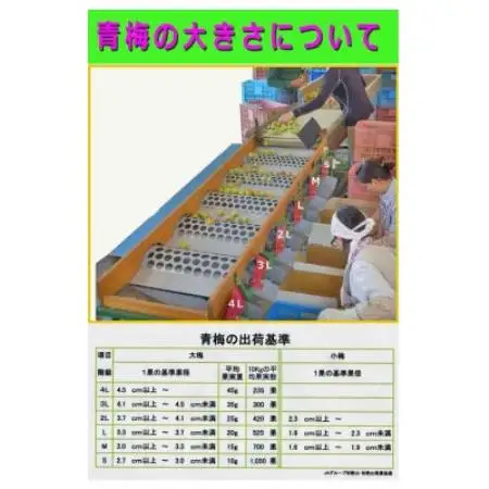 【梅干・梅酒用等】紀州和歌山の熟南高梅(約3kg+3%)【6月下旬～7月中旬順次発送】【配送不可地域：離島・北海道・沖縄県】【1738055】
