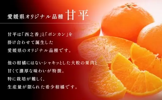 【2027年先行予約】甘平 みかん 愛媛 約3kg M～3Lサイズ混合 数量限定 先行予約 柑橘 伊予市【2月上旬から順次発送予定】｜B553