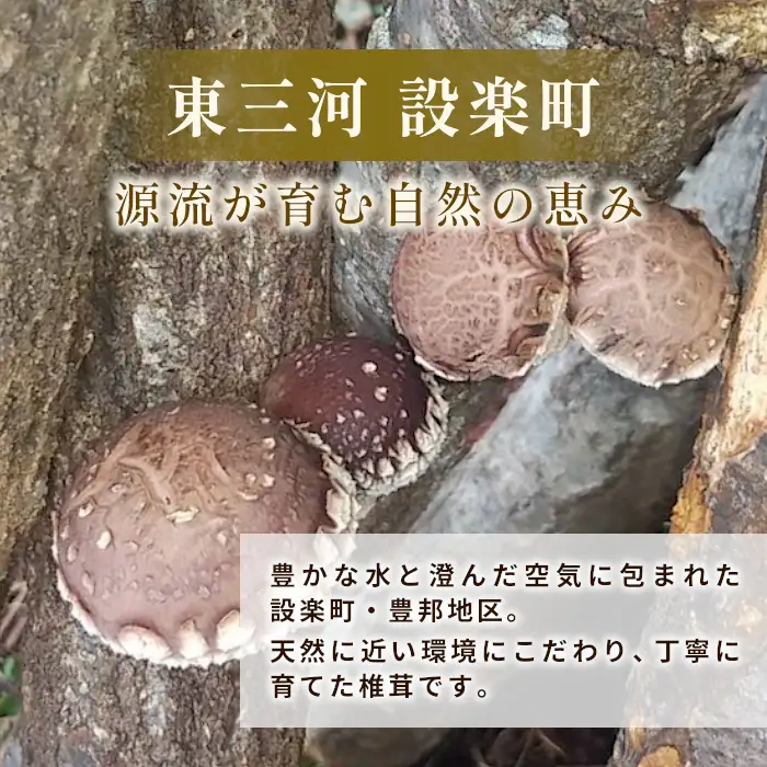 無農薬 原木栽培 肉厚 とよくに清流 ほししいたけ 80ｇ しいたけ 椎茸 シイタケ 原木椎茸 野菜 きのこ 無農薬栽培 干ししいたけ 乾燥しいたけ 干し椎茸 バーベキュー お試し 煮物 ネコポス -244
