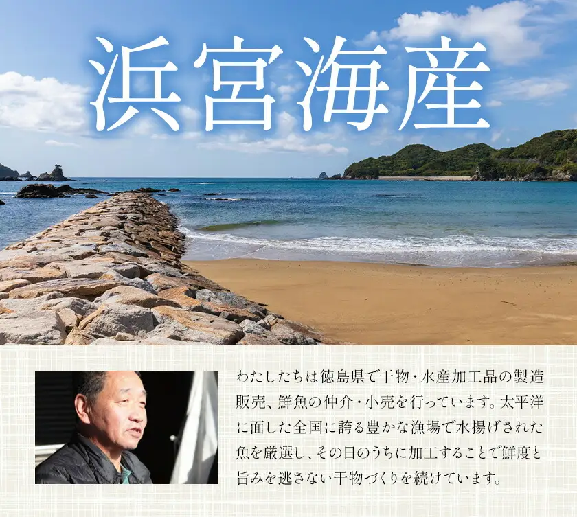 はまみや海産 美波 の 特選 干物セット 大セット 干物