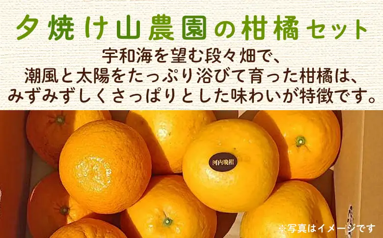 ＜愛媛県西予市産 さわやか柑橘セット 合計約3kg＞『5月～6月中旬頃迄に順次出荷予定』甘夏 河内晩柑 あまなつ ばんかん 果物 フルーツ みかん ミカン 蜜柑 食べ比べ 詰合せ 甘酸っぱい かんきつ 柑橘 特産品 夕焼け山農園 愛媛県 西予市 【常温】AYN0013