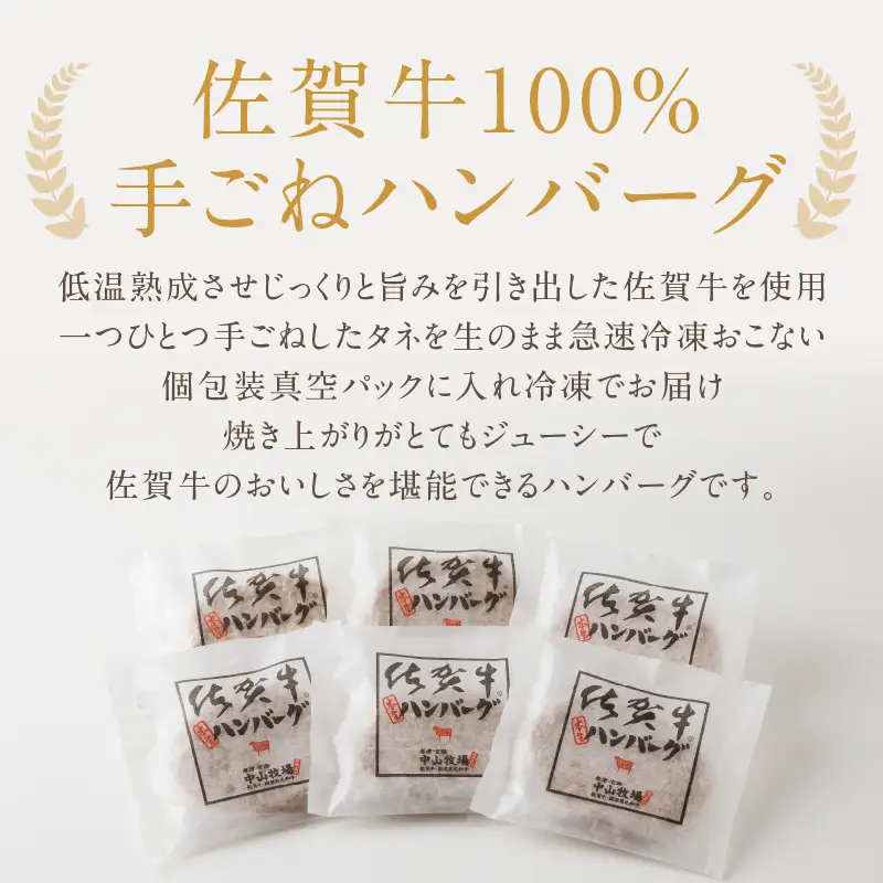 【最速配送】佐賀牛ハンバーグ 12個｜ 牛肉 ハンバーグ【B226】
