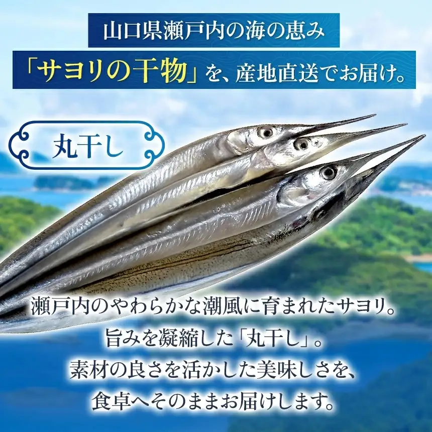 瀬戸内 海 産 サヨリ 丸干し 400 g（ 赤穂 の 塩 使用 ）