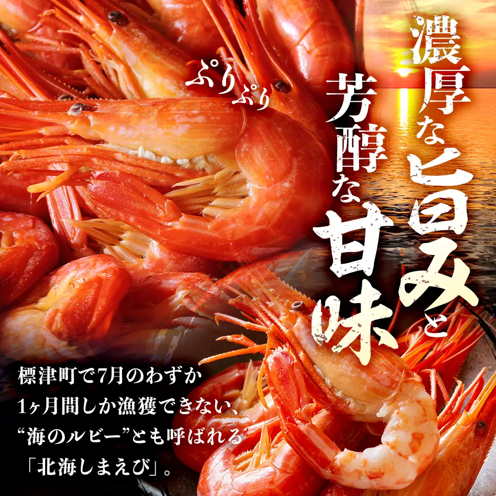 【北海しまえび】大 500g えび【AH】