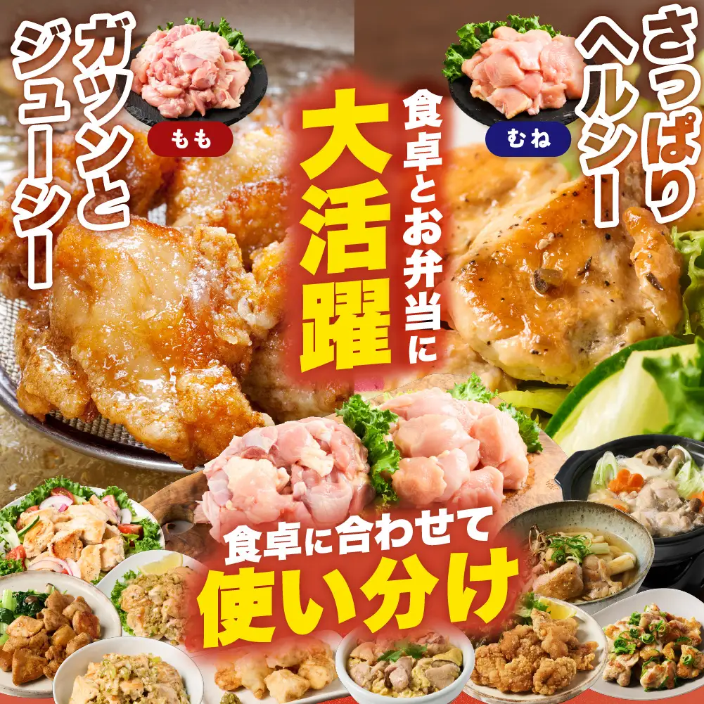 鶏肉 九州産 若鶏 もも むね 切身 セット 合計4.8kg 各2.4kg （300g×8袋） 鶏肉
