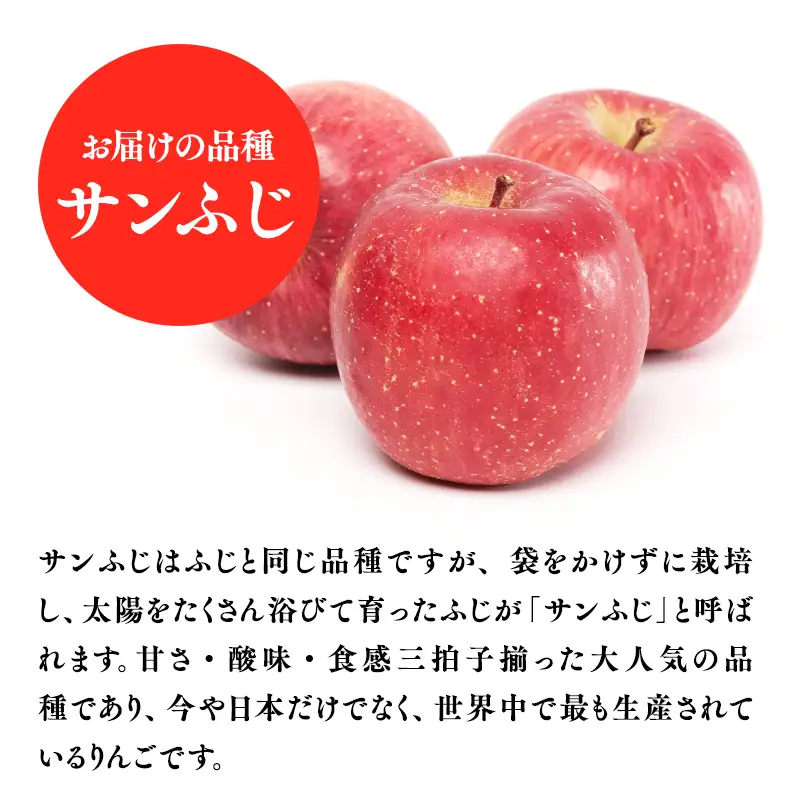 りんご 【2026年11月発送開始】青森県産 サンふじ 家庭用 約3kg 3ヶ月定期便 りんご