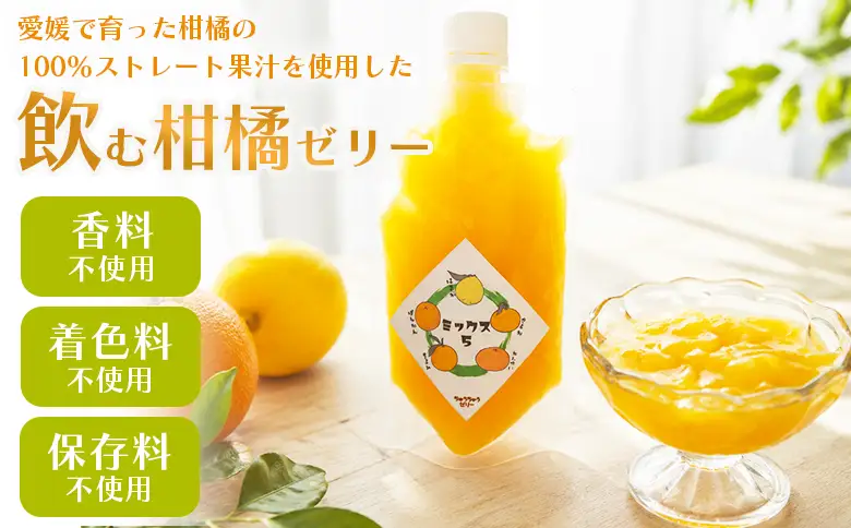 ＜つるんと食感の飲む柑橘ゼリー 2個＞『1か月以内に順次発送予定』果物ゼリー くだもの ゼリー パウチ みかん 蜜柑 デザート スイーツ おやつ のむ ストレート 果汁 100％ 食感 ぷるぷる お楽しみ 渡江から一歩を踏み出す会 愛媛県 西予市 【常温】ATI0054