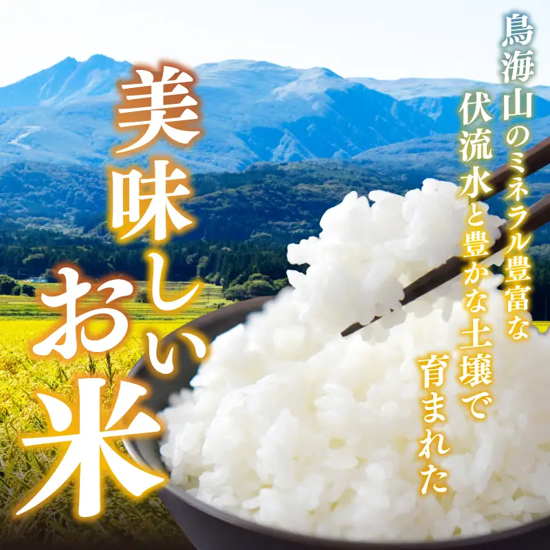 【先行予約】白米 ブレンド米 5kg  令和8年産 白米
