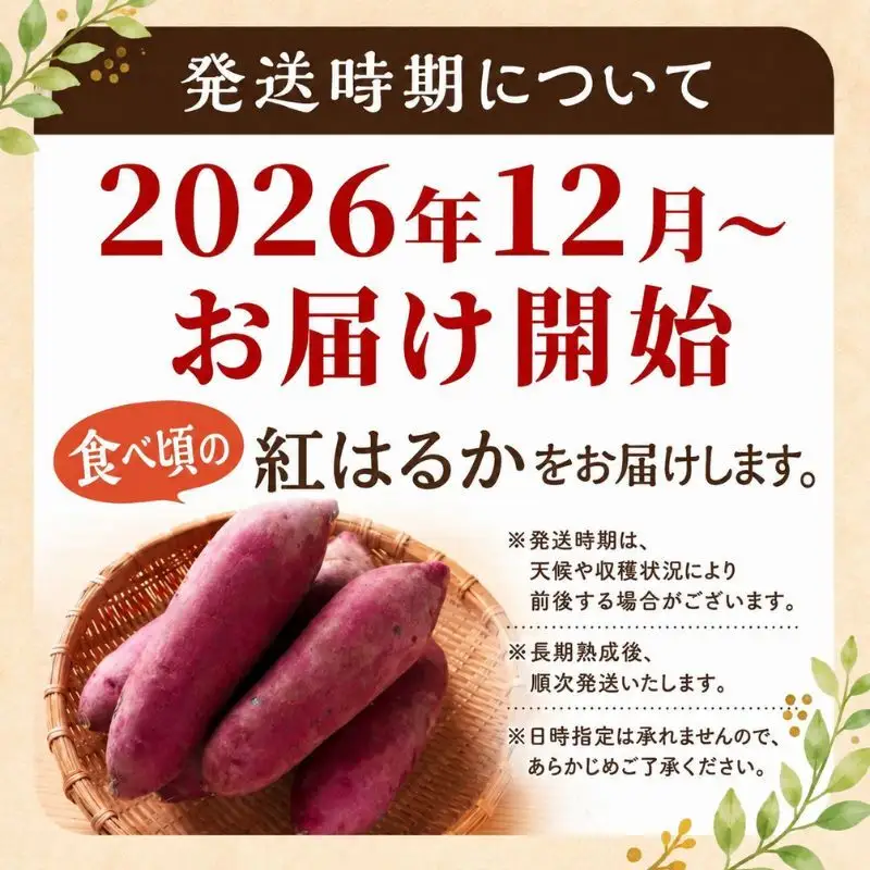 【先行予約】紅はるか さつまいも 約4kg 秋山農場 さつまいも