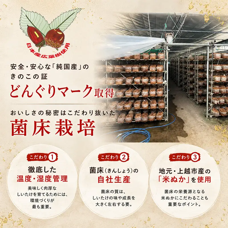 干し椎茸 干しキクラゲ 1セット 秋山農場 干し椎茸