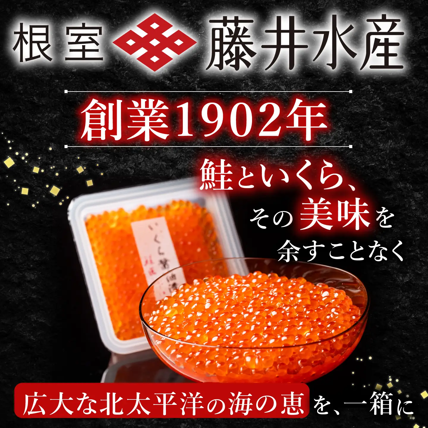 ＜鮭匠ふじい＞鮭といくらの味覚尽くし A-42085