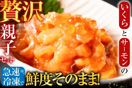 ＜鮭匠ふじい＞いくら・サーモン親子丼の具 A-42019