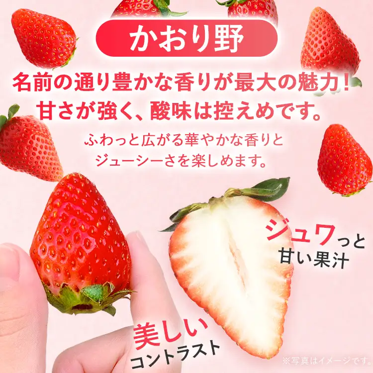 いちご   農家直送完熟いちご かおり野 2パック 【2027年2月上旬～4月末頃に順次発送】 いちご  