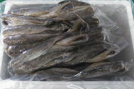 【北海道根室産】生干しこまい500g×4P A-57033