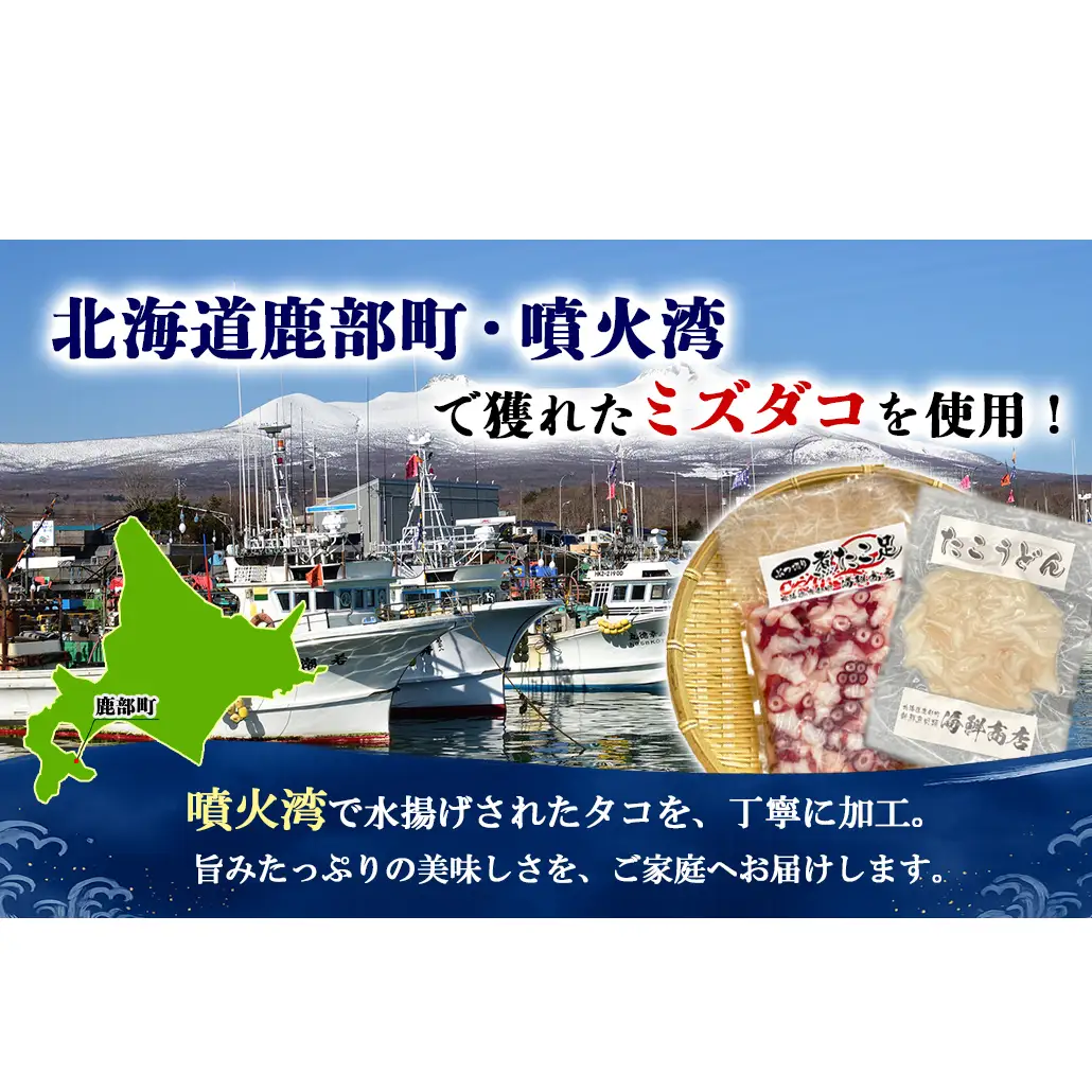 北海道産 ボイルタコ足 ぶつ切り たこうどん セット 計700g タコ 蛸 ミズダコ ボイル済み
