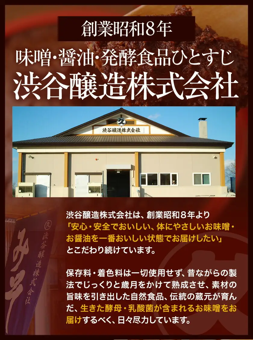 北海道十勝 渋谷醸造「甘酒 麹のめぐみ3種」プレーン ハスカップ  抹茶 24本 渋谷醸造株式会社 《30日以内に出荷予定(土日祝除く)》 北海道 本別町 甘酒 あまざけ 麹