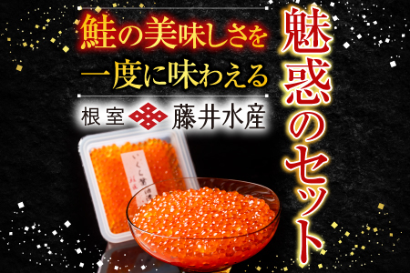 ＜鮭匠ふじい＞鮭味覚尽くし B-42007