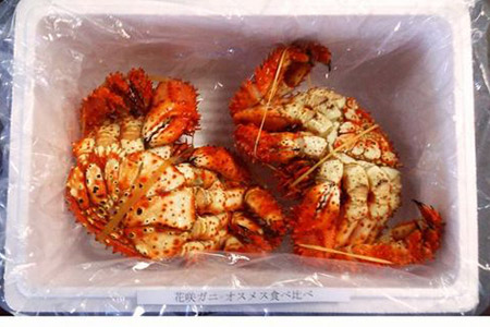 【北海道根室産】花咲ガニオスメス各1尾(計1.3kg前後) B-57006
