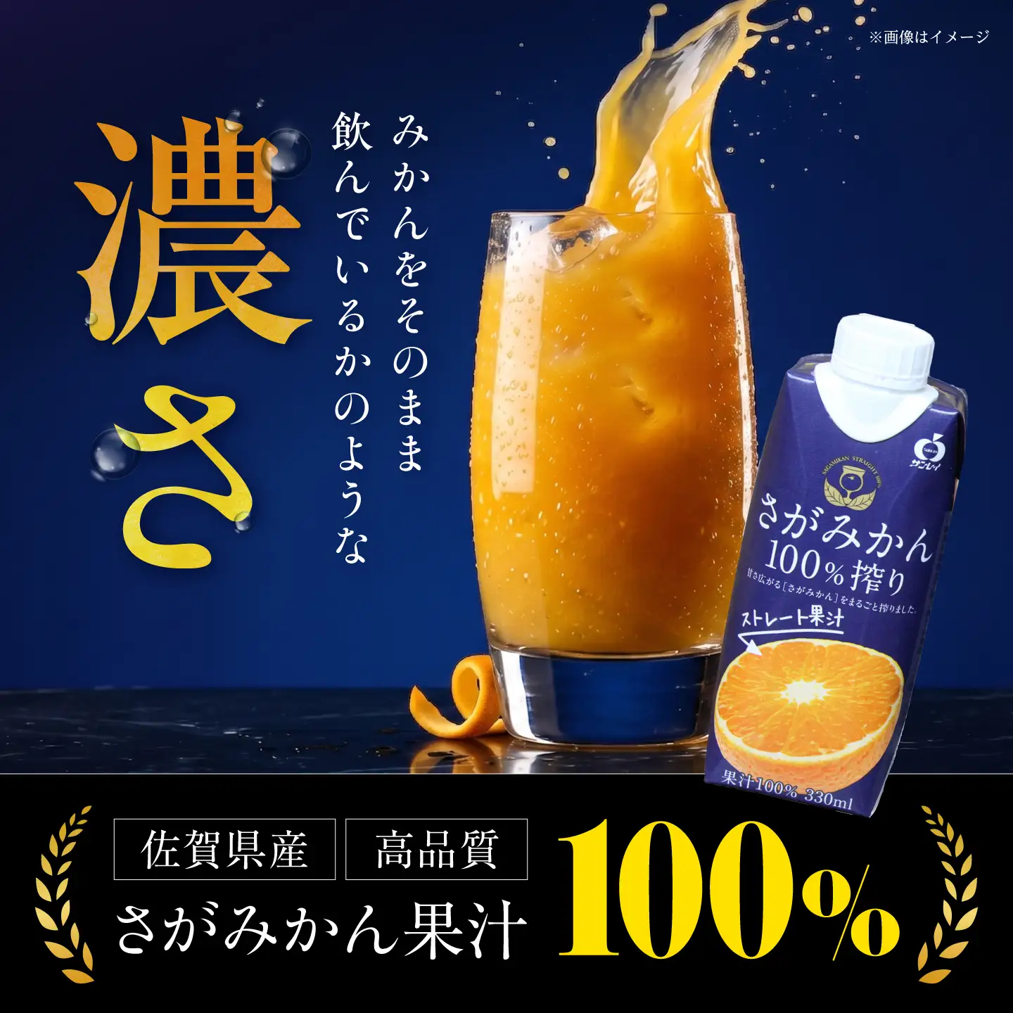さがみかん100%搾り 2箱（330ml×12本入/箱） 【JAさが 杵島支所】[HAM099]