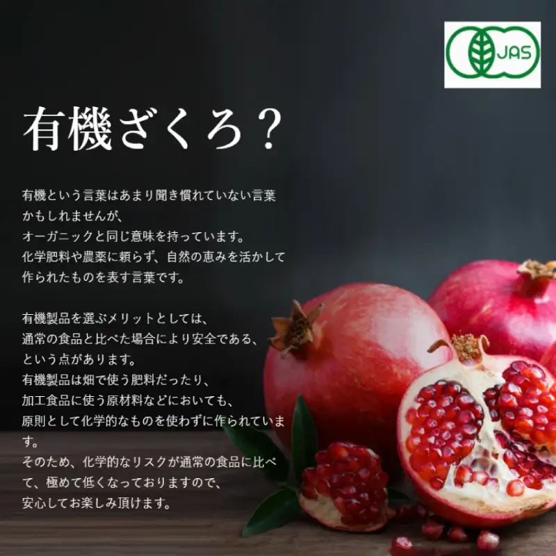 ざくろジュース 180ml×12本 有機ざくろ 無添加