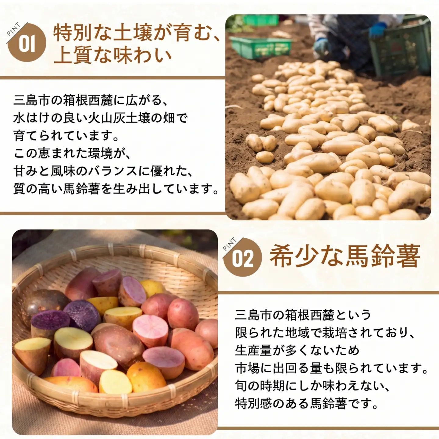 【先行予約2026年7月上旬より順次発送】 馬鈴薯 4種 約5kg じゃがいも 馬鈴薯 メークイン キタアカリ キタカムイ グランドペチカ みしまコロッケ